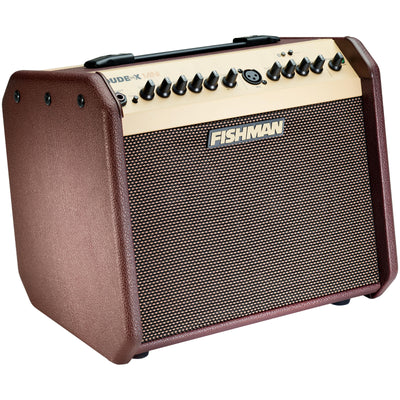 Fishman Loudbox Mini Bluetooth Acoustic Guitar Combo Amp - 2