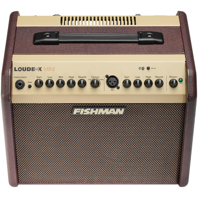 Fishman Loudbox Mini Bluetooth Acoustic Guitar Combo Amp - 3