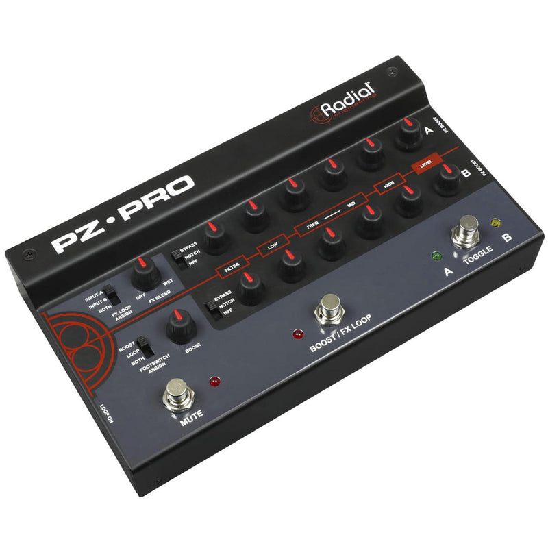 Radial PZ-Pro 2-Channel Acoustic Preamp - 2